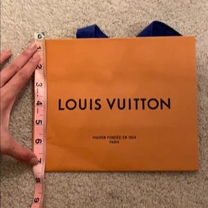 Louis Vuitton paper bag